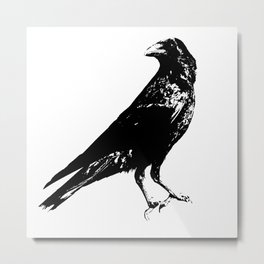 Lone Raven Metal Print