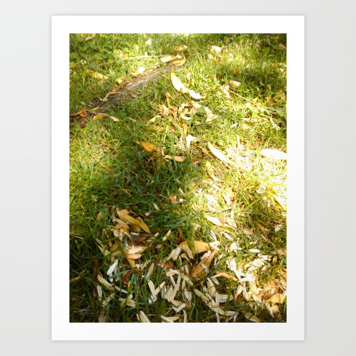 Grass & Sun  Art Print