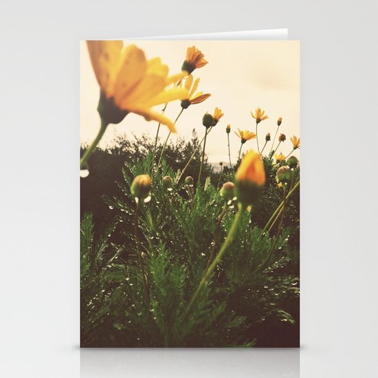 Post-Rain Yellows Stationery Cards