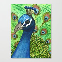 Phillip Peacock Canvas Print