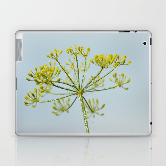 Dill 6177 Laptop & iPad Skin