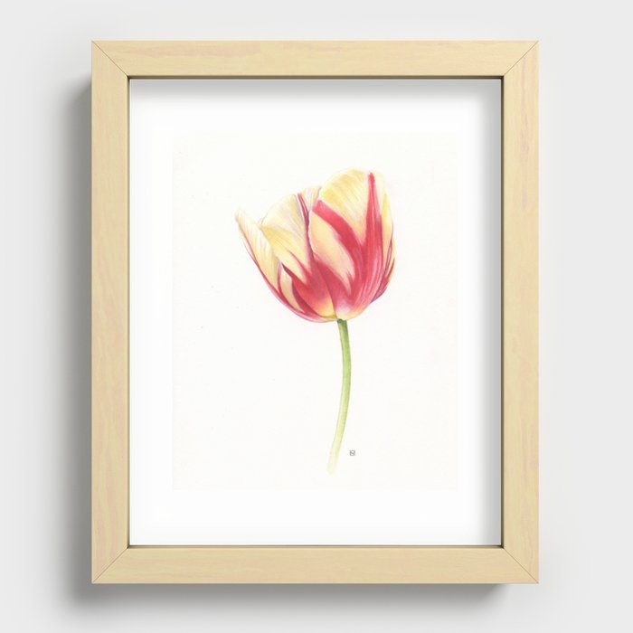 Cream & Red Rembrandt Tulip Recessed Framed Print