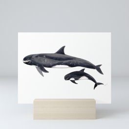 Pygmy killer whale Mini Art Print