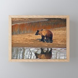 Bear Necessity  Framed Mini Art Print