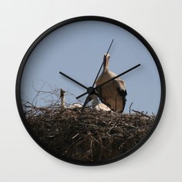 She Stork and Fledgling Baby Storks Photograph Wall Clock