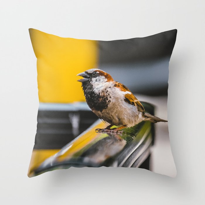 Angry Bird Chirping Bird Photograph Throw Pillow By Lovefi Society6