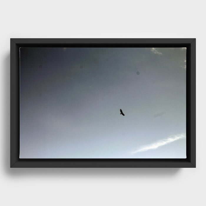 Fly Framed Canvas