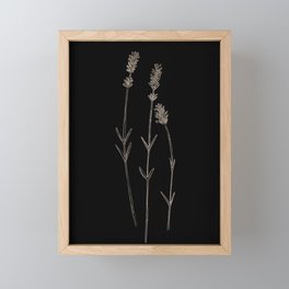Lavandula angustifolia INVERTED Framed Mini Art Print
