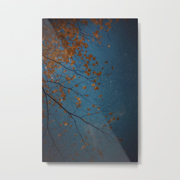 Burnt Orange Leaves on Midnight Blue Sky Metal Print