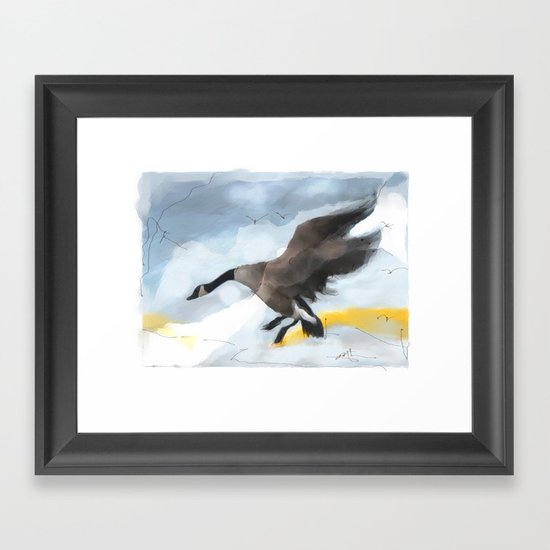 Canada Goose Landing...digital sketch Framed Art Print