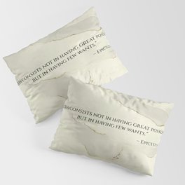 What is Wealth? Pillow Sham
