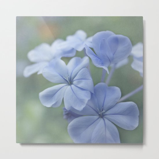 Spring's Sonnet Metal Print