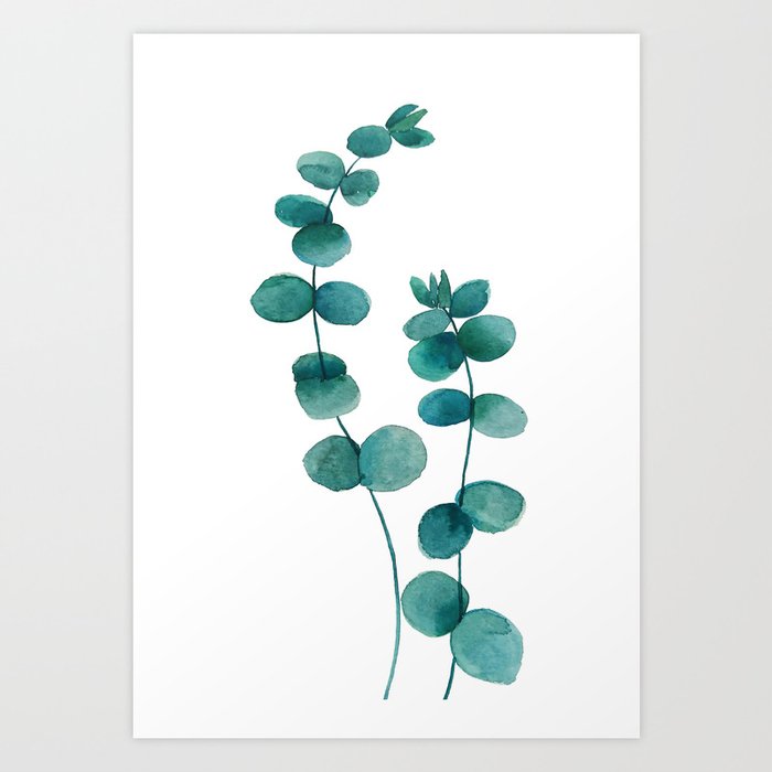 Green Eucalyptus Watercolor Art Print By Colorandcolor