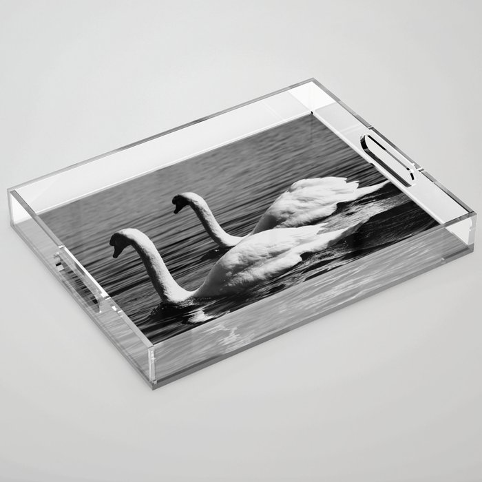 Swan Lake Nature Photography Acrylic Tray