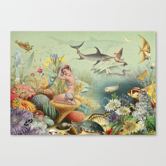 CORALLINE Canvas Print