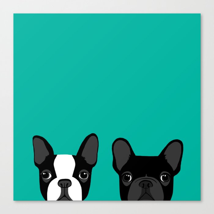 Boston Terrier and French Bulldog Canvas Print