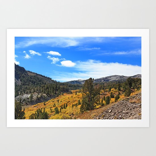 Mt Rose Art Print