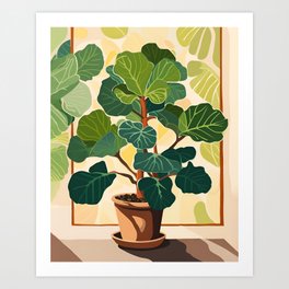 Fig Tree - Fiddle Leaf Art Print