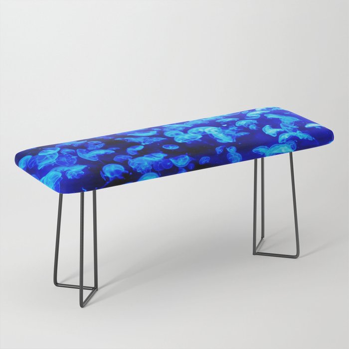 Jellies Bench