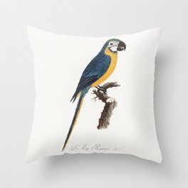 Blue-and-Yellow Macaw, Ara ararauna from Natural History of Parrots  by Francois Levaillant. Throw Pillow