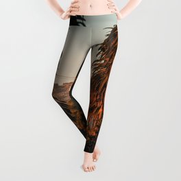 USA Photography - Palm Trees And The Hollywood Sign Leggings