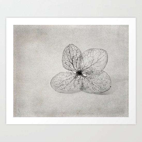 sketched Art Print