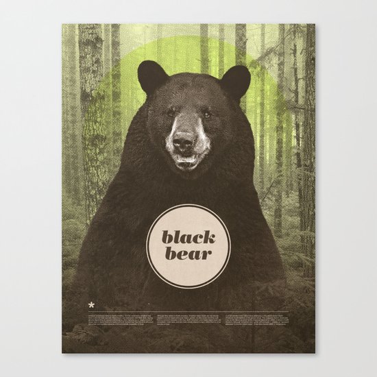Black Bear Canvas Print