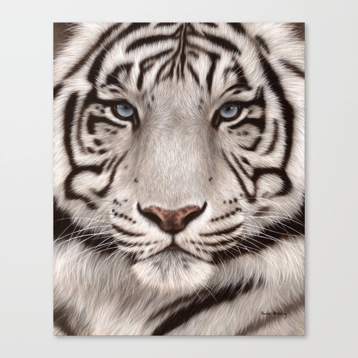 White Tiger Painting Canvas Print By Rachelstribb Society6