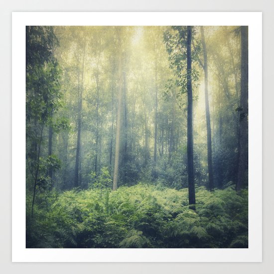 serene woodlands Art Print