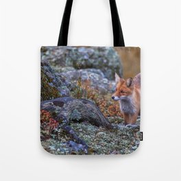 Fox  Tote Bag