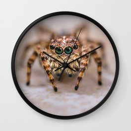 Orange-Brown Jumping Spider Macro Photograph Wall Clock