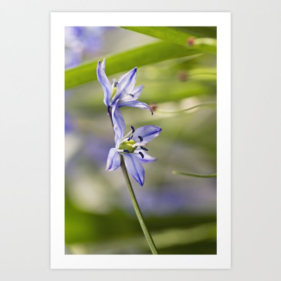 Une Fleur Bleue Art Print