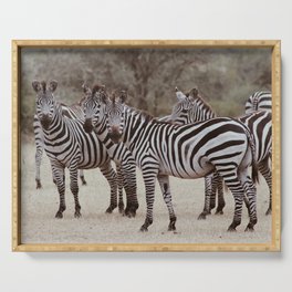 Serengeti zebras Serving Tray