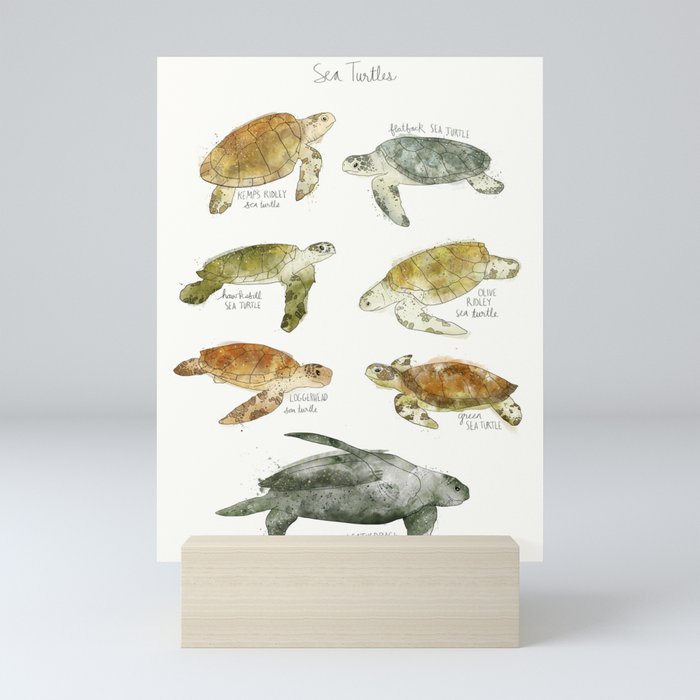 Sea Turtles Mini Art Print