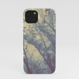 Mistery iPhone Case