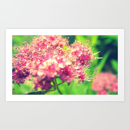 Florid Fuchsia Art Print