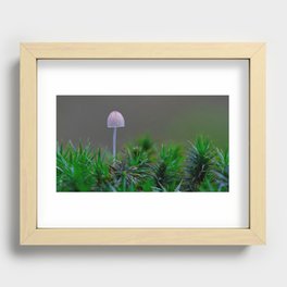 sweet little mushroom Recessed Framed Print