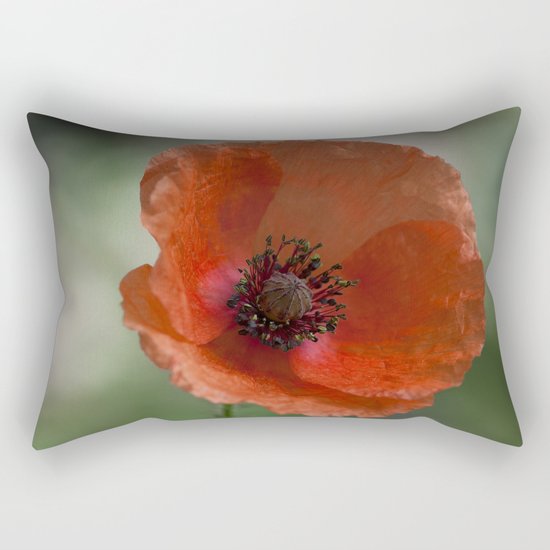 Poppy at backlight 1 Rectangular Pillow