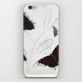 Butterfly metamorphosis by Philip Henry Gosse, 1833  iPhone Skin