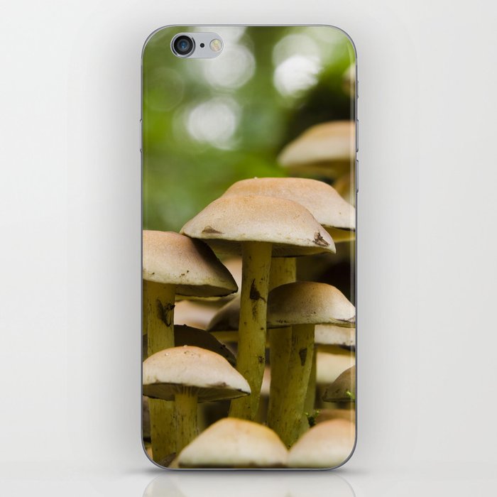 little mushroom-forest iPhone Skin