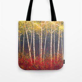 Birch Trees in the Fall Tote Bag