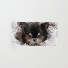 Little And Adorable Black And Beige Doggy Hand & Bath Towel