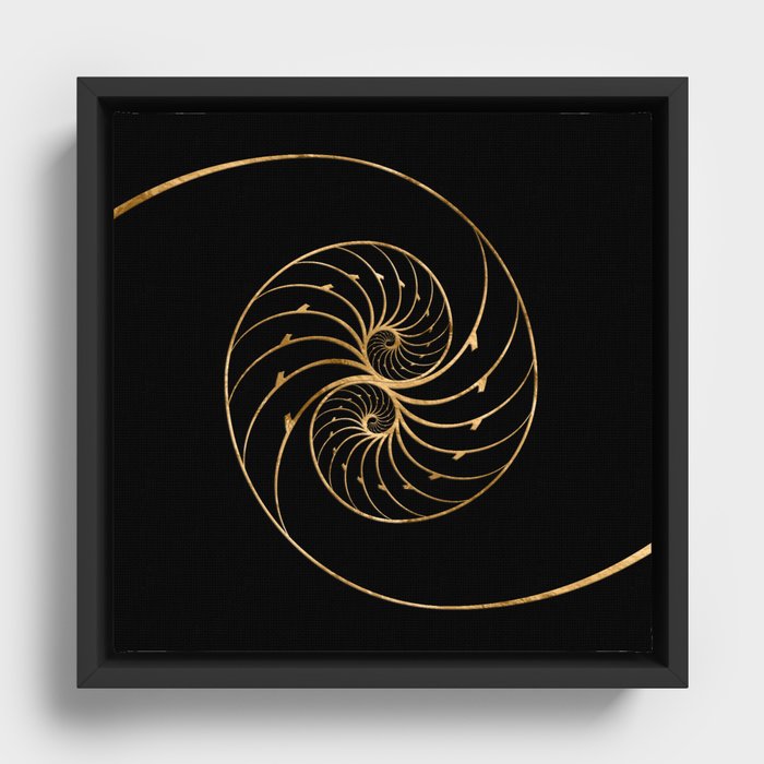 Nautilus Shells - Golden Pair Framed Canvas