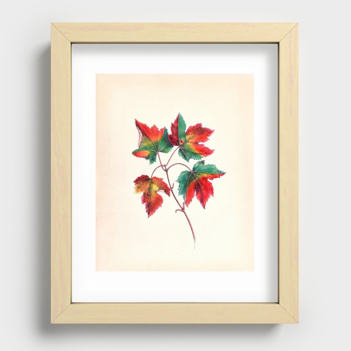 Recessed Framed Print