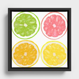 Citrus Fresh Fruit Framed Canvas