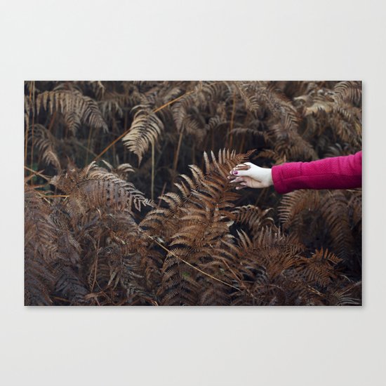 Autumn feel Canvas Print