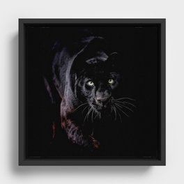 Panther Eyes Framed Canvas