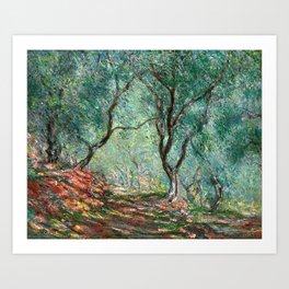 Claude Monet - Olive Tree Wood in Moreno Garden - Impressionism Art Print