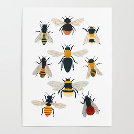British Bees Poster