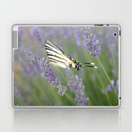 Swallowtail Sideview Amongst Lavender Spikes Photograph Laptop Skin